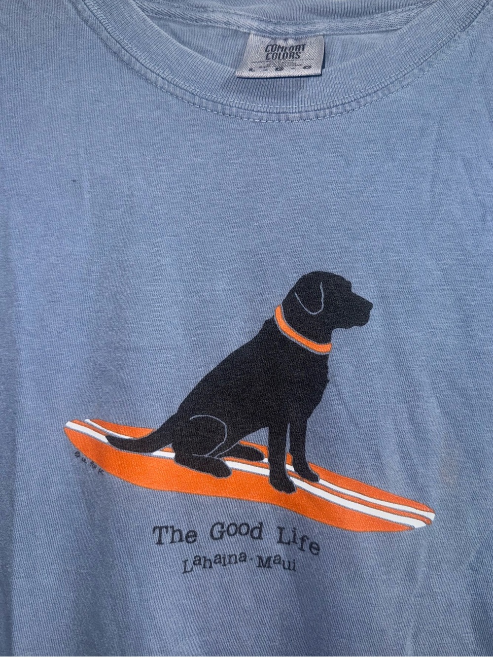 The Good Life Blue Dog Surf T-Shirt
